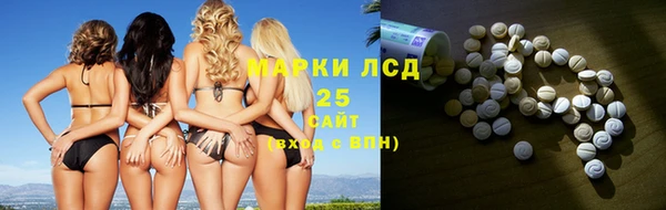 индика Абаза