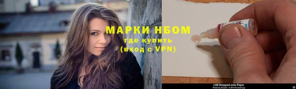 индика Абаза
