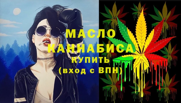 индика Абаза