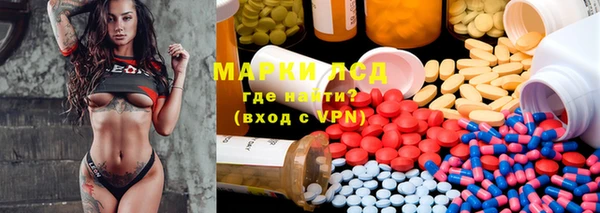 индика Абаза