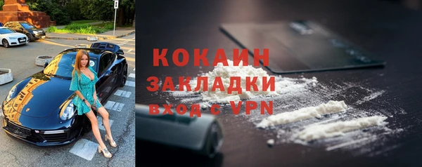 индика Абаза