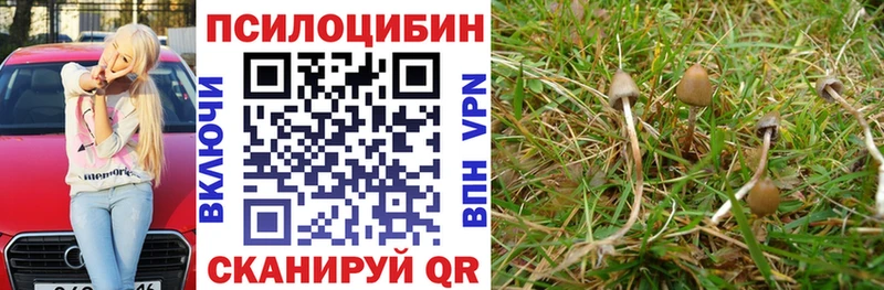 наркошоп  Кумертау  Галлюциногенные грибы прущие грибы 