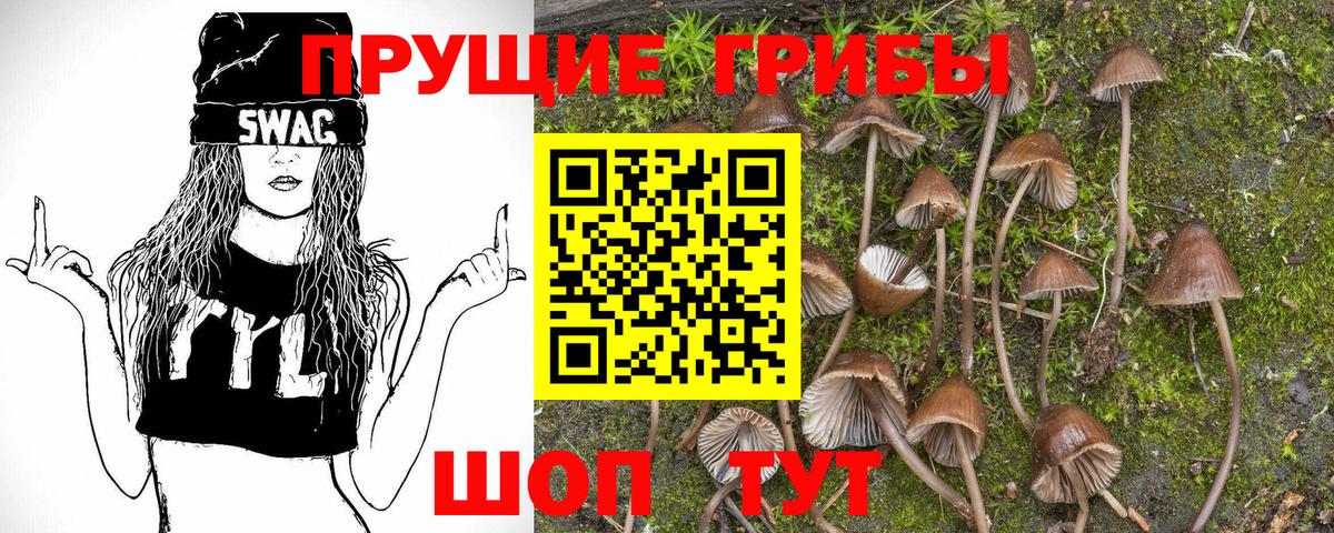 Галлюциногенные грибы прущие грибы Кумертау