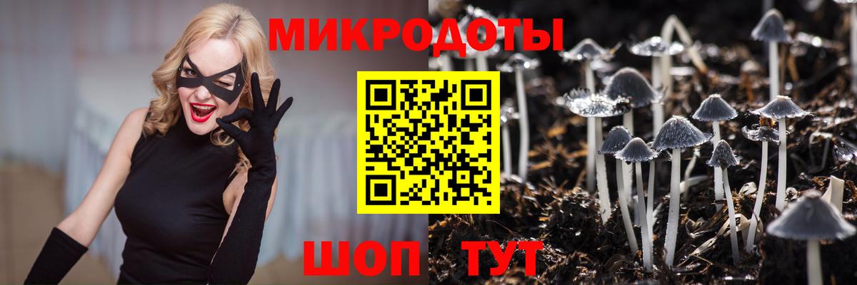 Галлюциногенные грибы MAGIC MUSHROOMS  Галлюциногенные грибы ЛСД  Вход с VPN  Кумертау 
